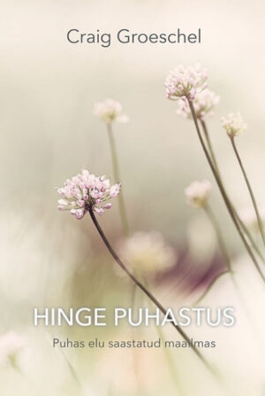 Hinge puhastus / Cr. Groeschel